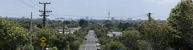 Mount Roskill