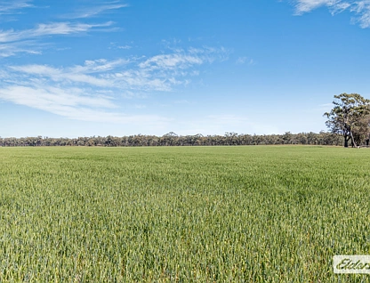  Laanecoorie-Newbridge Road, Newbridge, Bendigo, 0 ਕਮਰੇ, 0 ਬਾਥਰੂਮ, Lifestyle Property