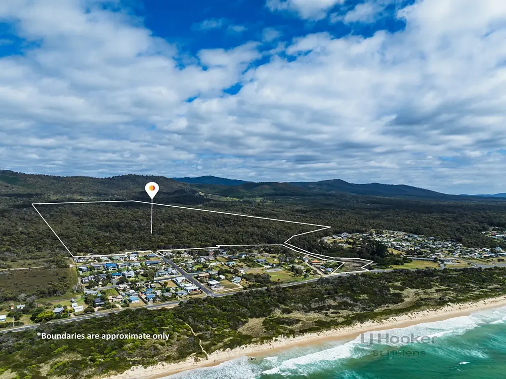 Beaumaris Exceptional Opportunity