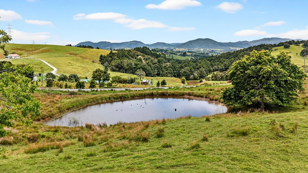 Kaiwaka Buy One or Buy Both !