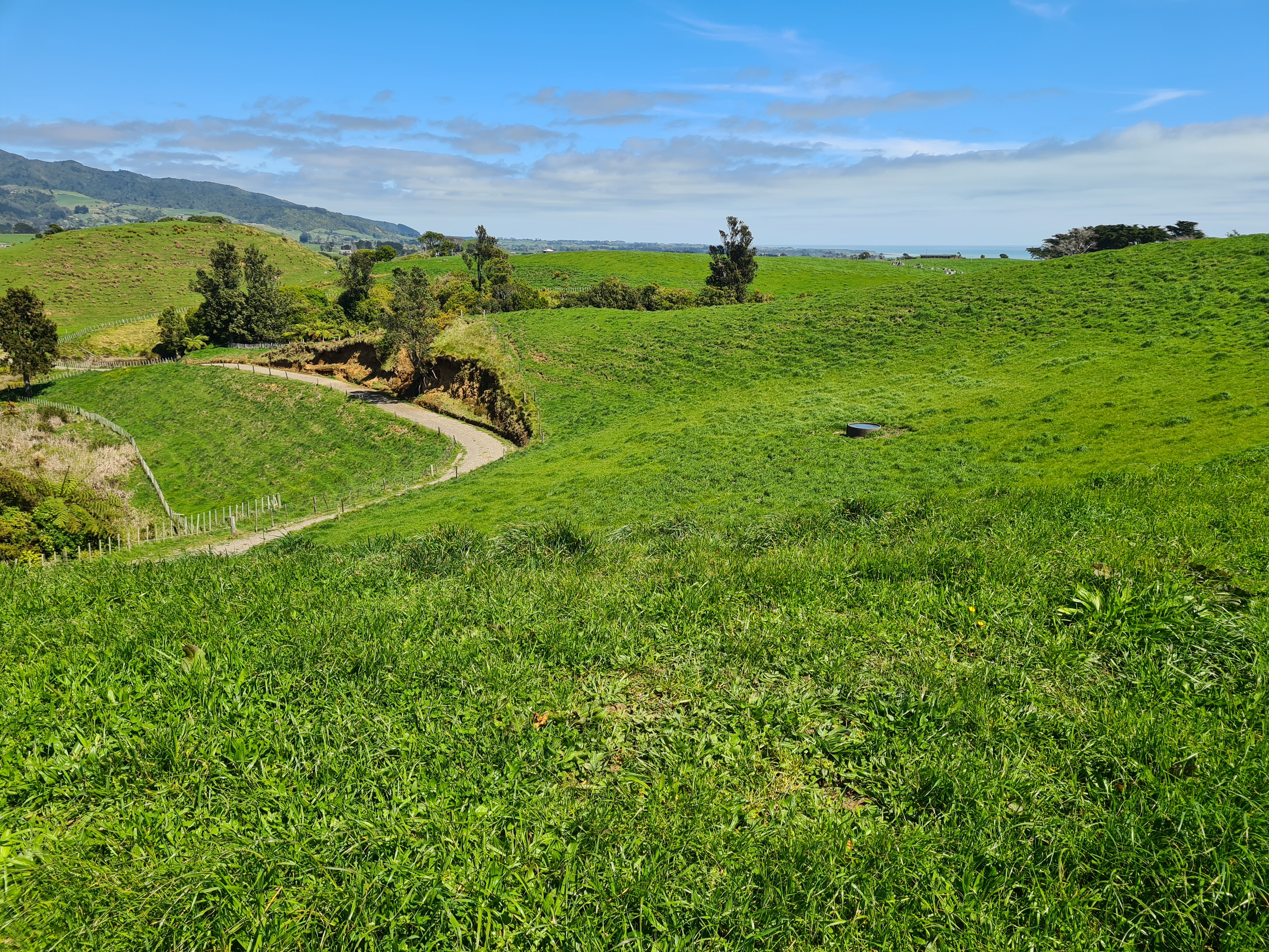 629 South Road, Omata, New Plymouth, 4 침실, 2 욕실, Grazing