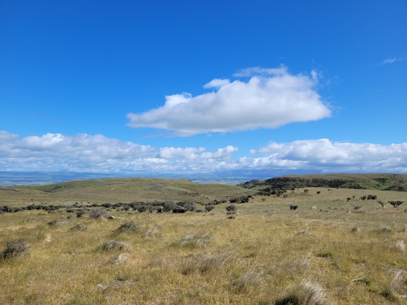 Hamilton Diggings Road, Ranfurly, Otago, 0 Bedrooms, 1 Bathrooms