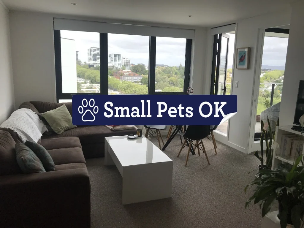 Large furnished one bedroom at Centro - Pet friendly