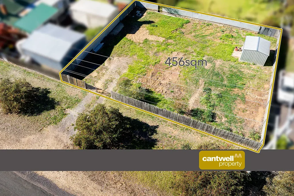 Castlemaine Look to the Future