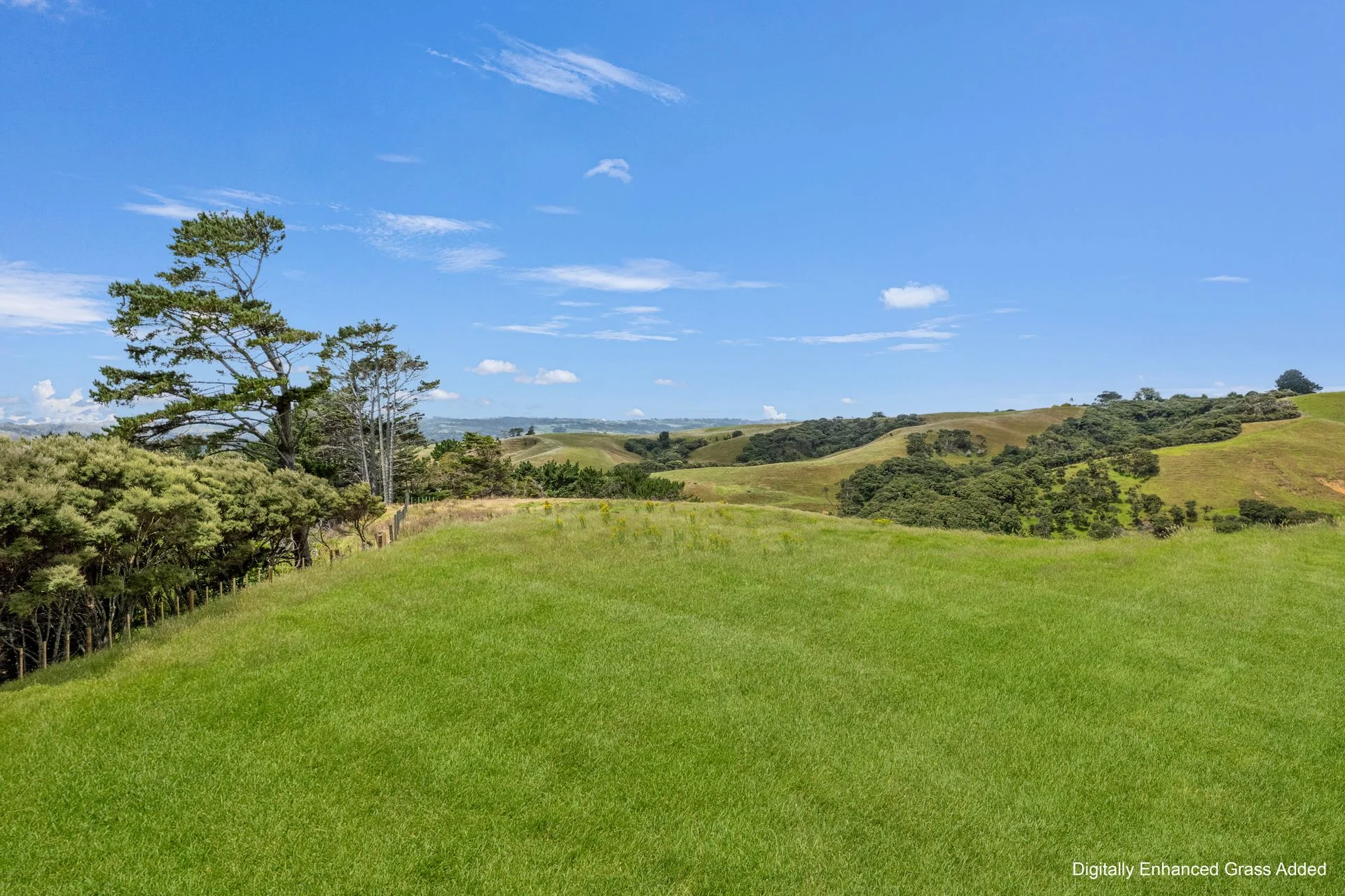 Helensville Asking Price Reduced and Title Released