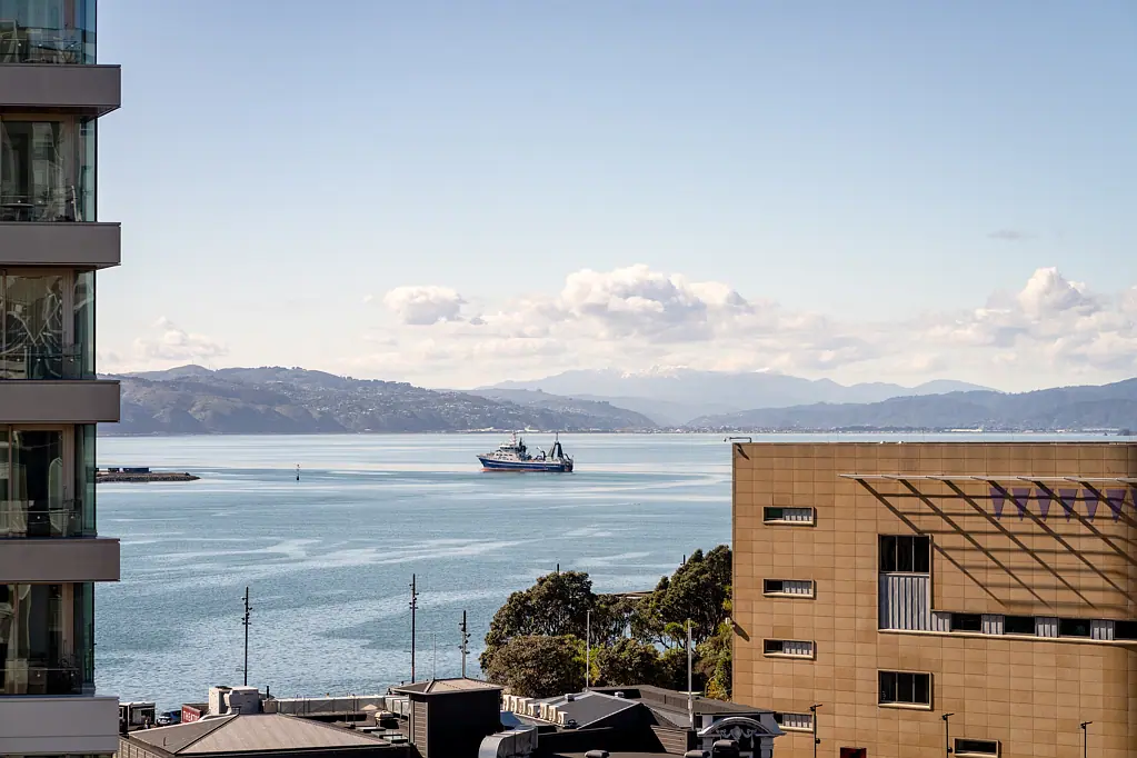 Te Aro 4침실 Luxury Penthouse & Air BNB | Harbour & City Views