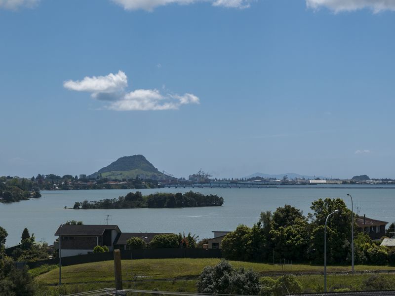 22a Wickham Place, Hairini, Tauranga, 4 chambres, 0 salles de bain