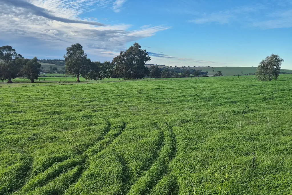 LOT 79 Starbush Way, Ginginup, WA 6503