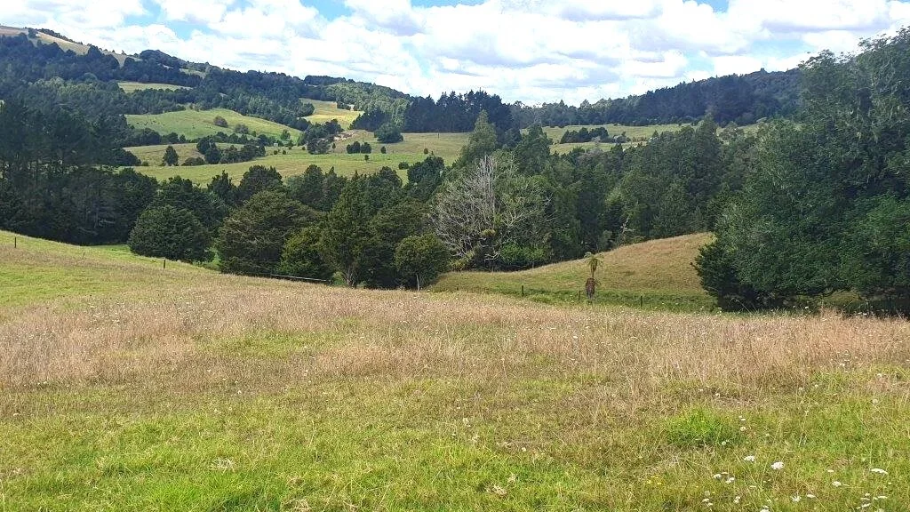 Hukerenui and Surrounds Great Opportunity in Desirable Area