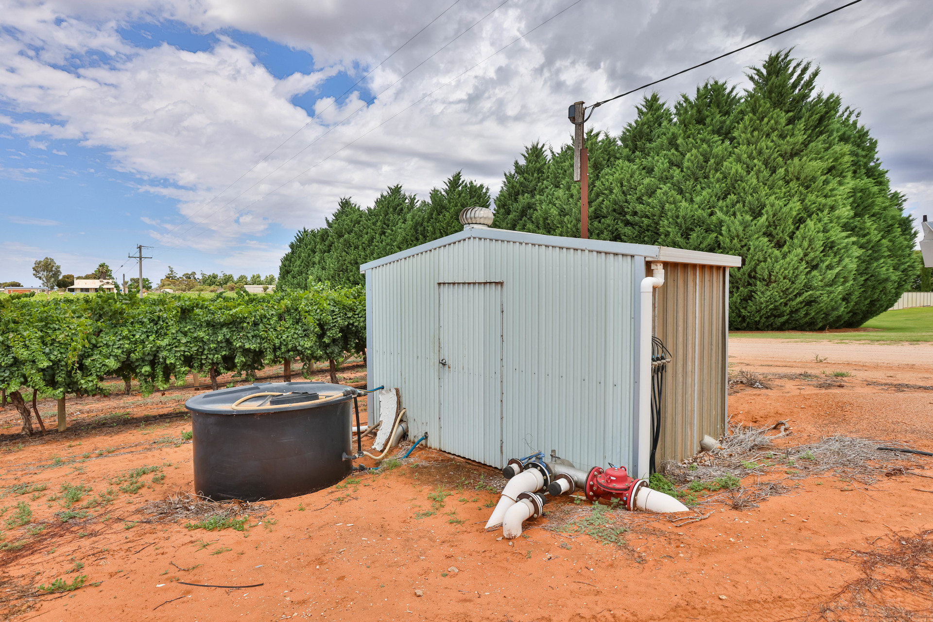 157 CASSIA ST, RED CLIFFS VIC 3496, 0 રૂમ, 0 બાથરૂમ, Lifestyle Property