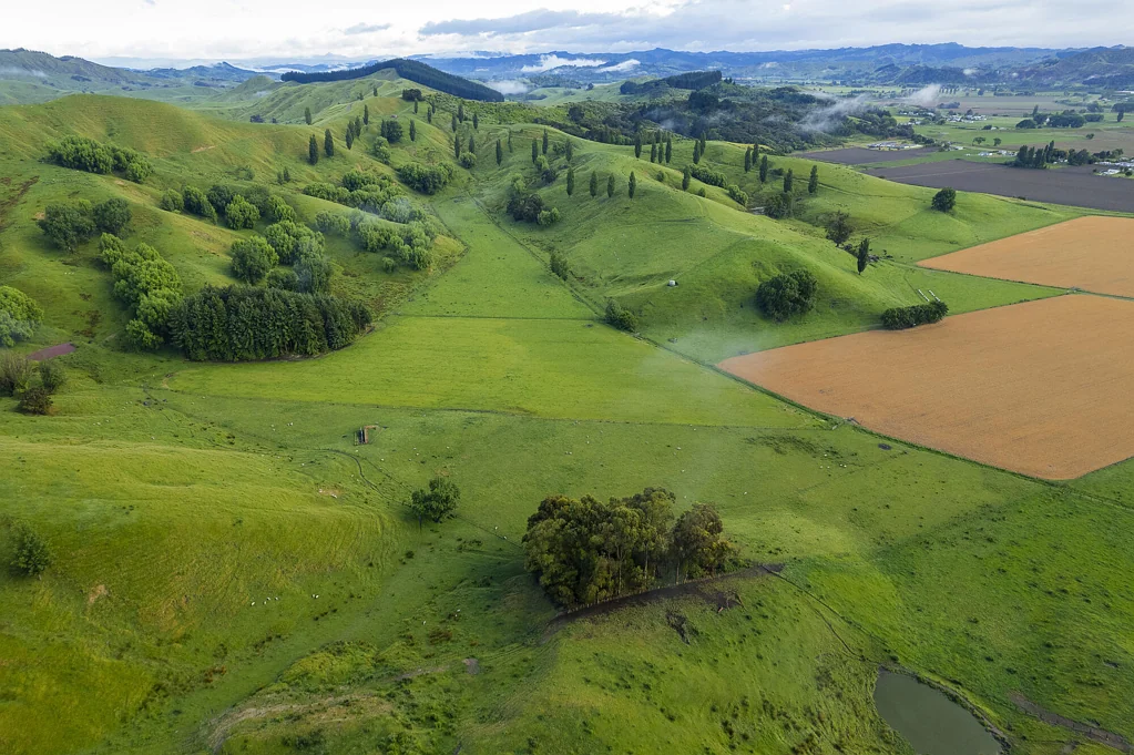 Patutahi  Productive diversity - 88 hectares in two titles