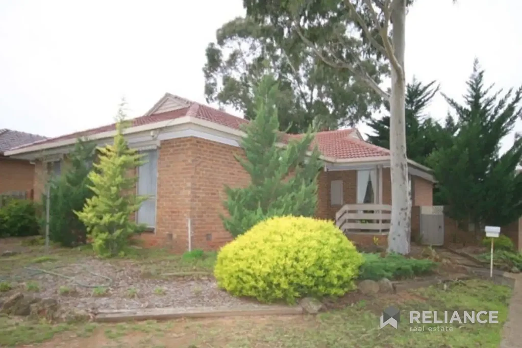 4 Bedroom Home with Beautiful Backyard
