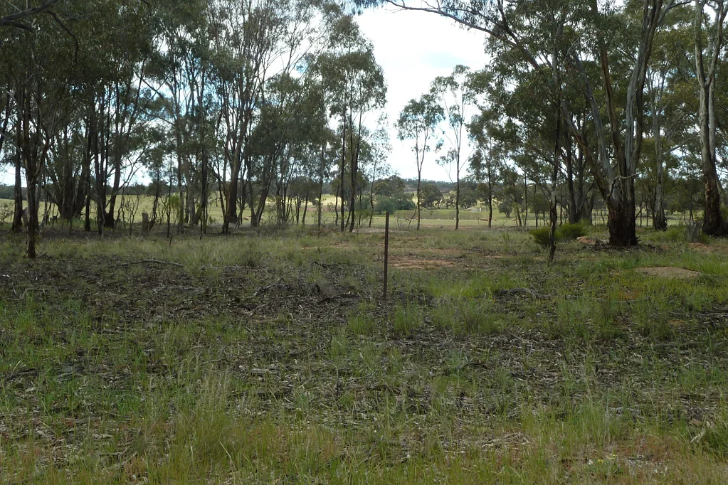 Wedderburn  10 ACRES - BUSH BLOCK
LOOKING FOR THAT NUGGET?  OR A WEEKENDER?  THIS IS THE BLOCK FOR YOU!!