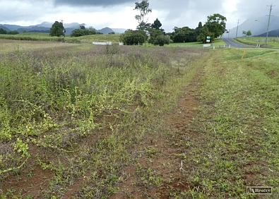 अन्य - Address Withheld, Bartle Frere, QLD 4861