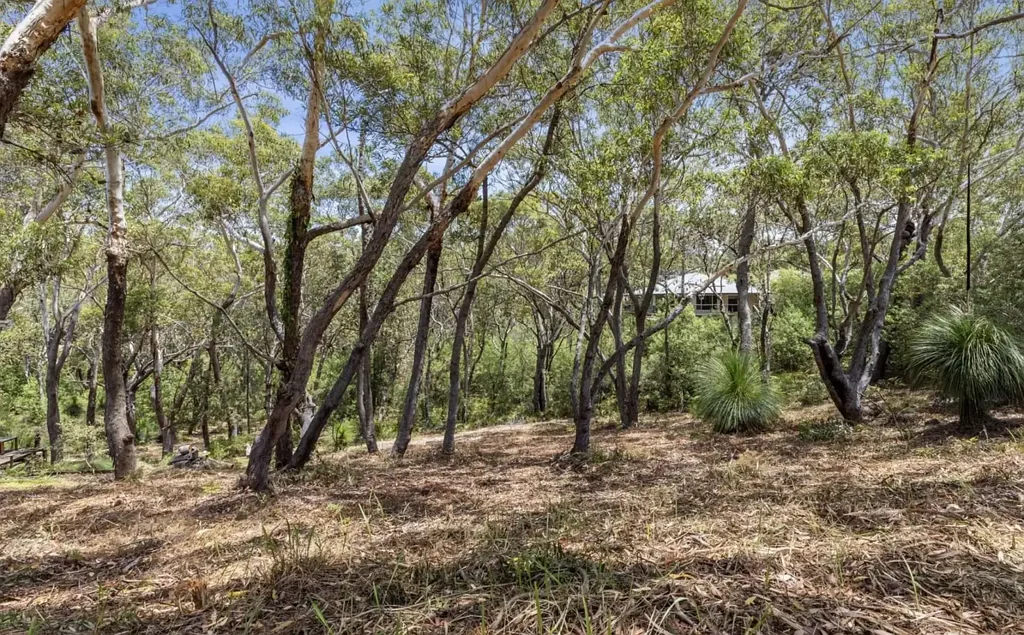 11 Birramal Drive, Dunbogan, NSW 2443