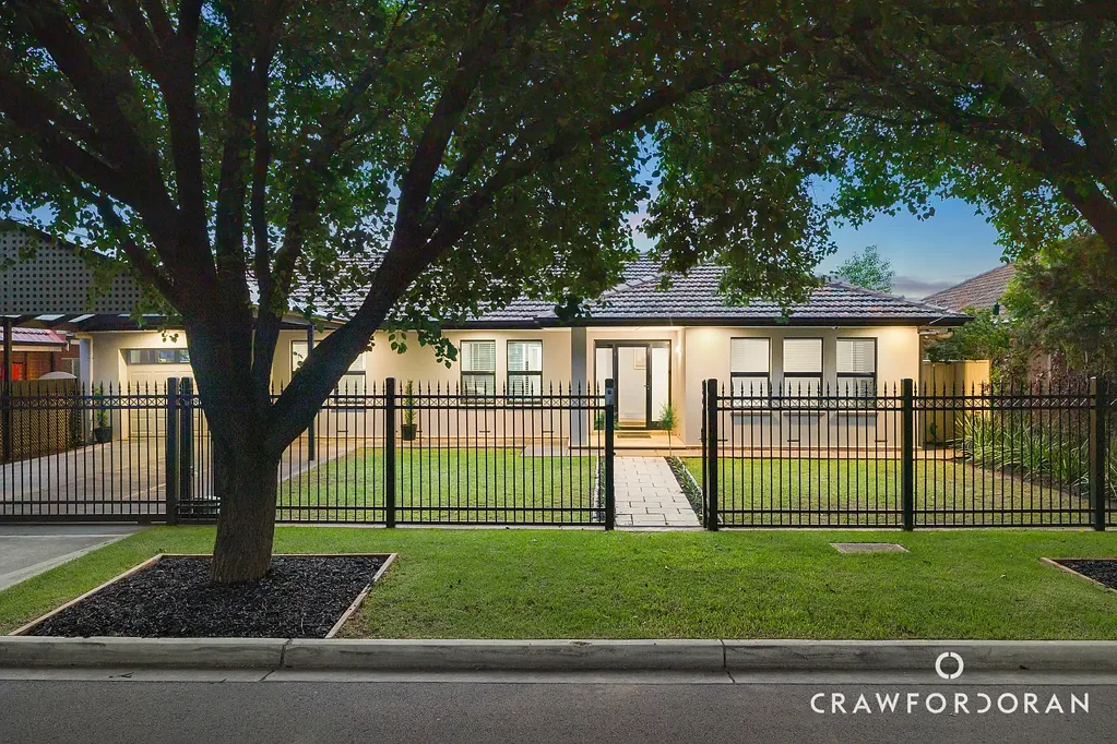 56 White Avenue, Lockleys, SA 5032