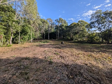 19 Mahogany Drive, Forrest Beach, QLD 4850, 0房, 0浴, Section