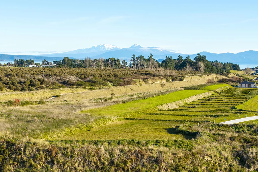 Wharewaka  Positioned for the Extraordinary