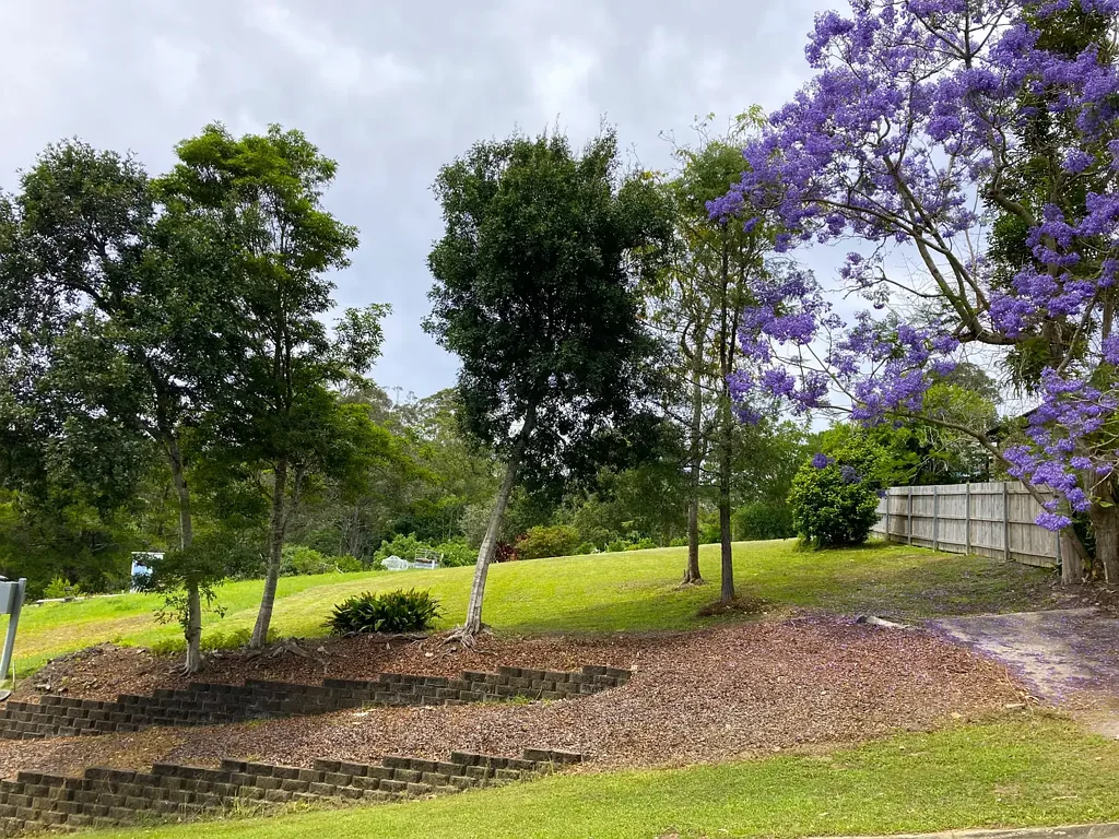 3 Lucas Avenue, Bellingen, NSW 2454
