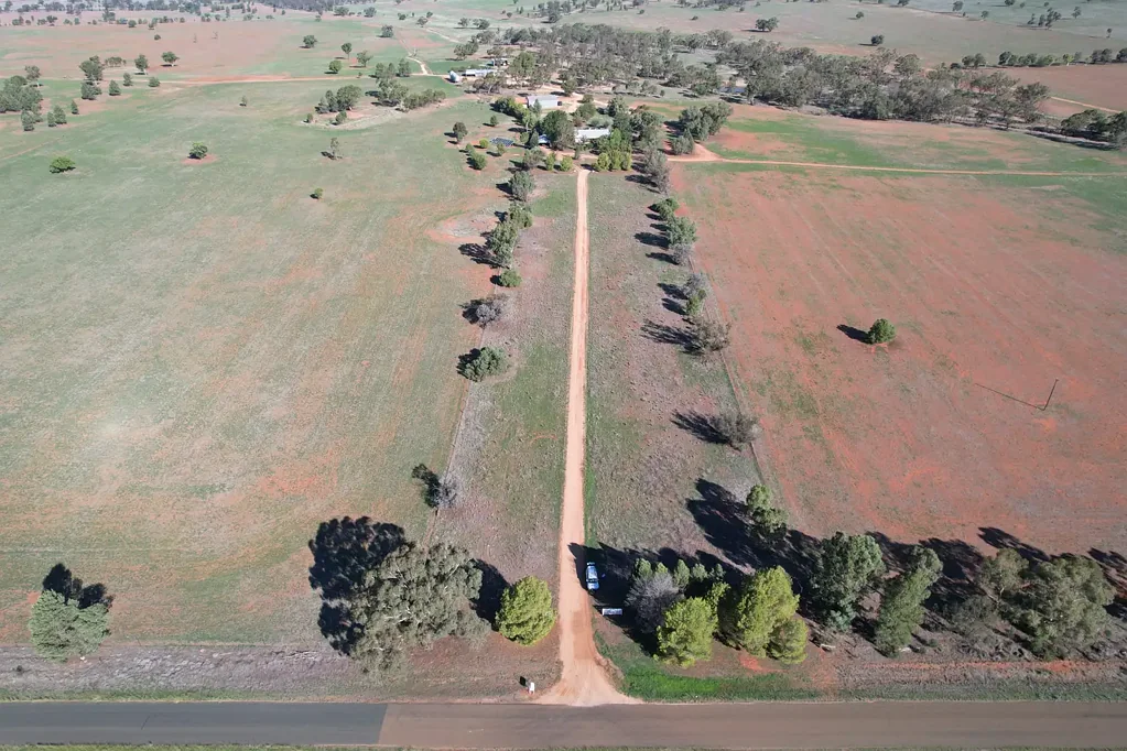 Condobolin  "PINE GROVE", 722Ha (1784ac)
With recent rains this is a great mixed farming opportunity