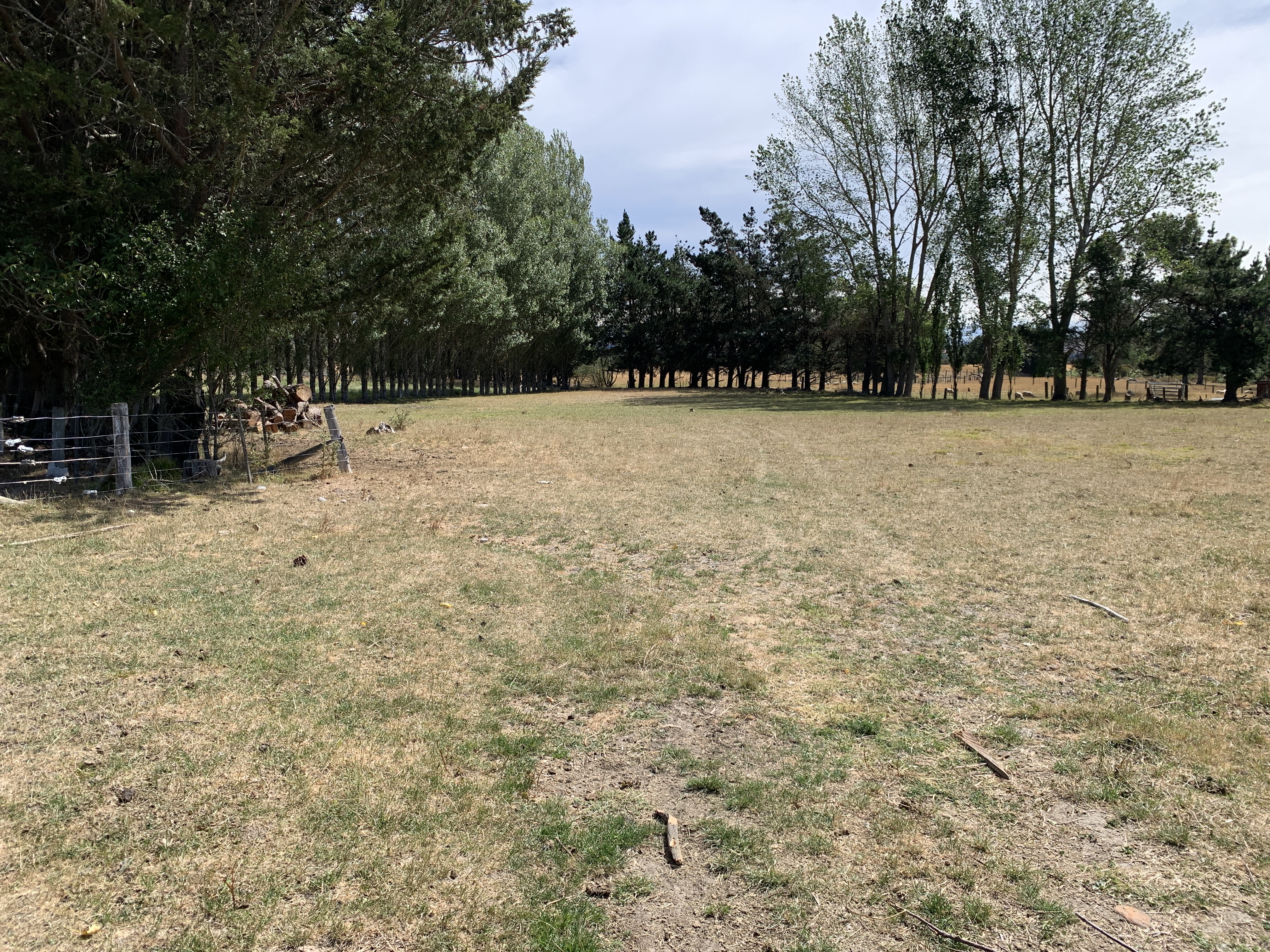 113 Ward Road, Cheviot, Hurunui, 0 Schlafzimmer, 0 Badezimmer, Lifestyle Section