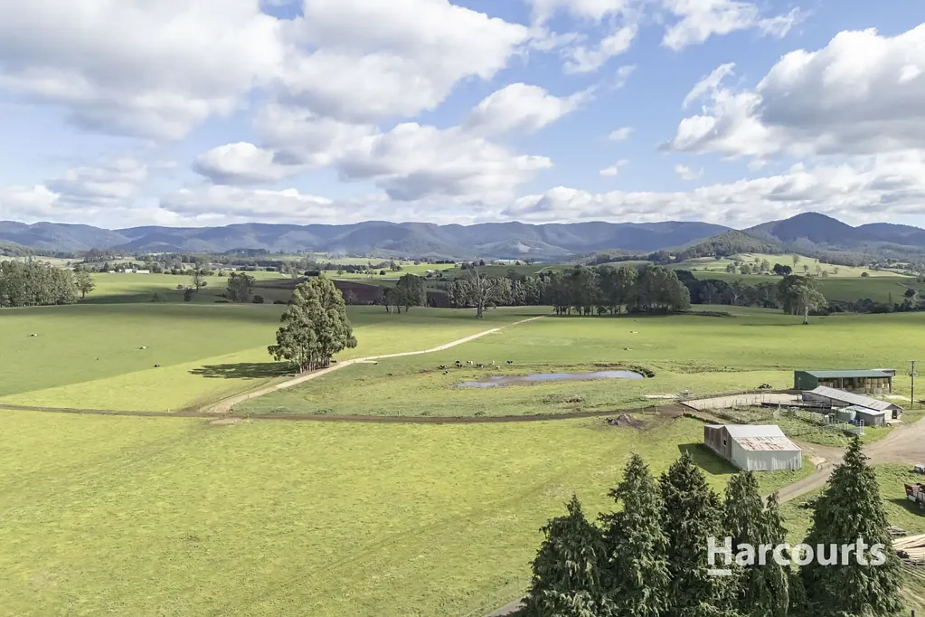 Ringarooma Versatile Dairying, Cropping & Grazing Farm  99.09Ha (244.85 acres)