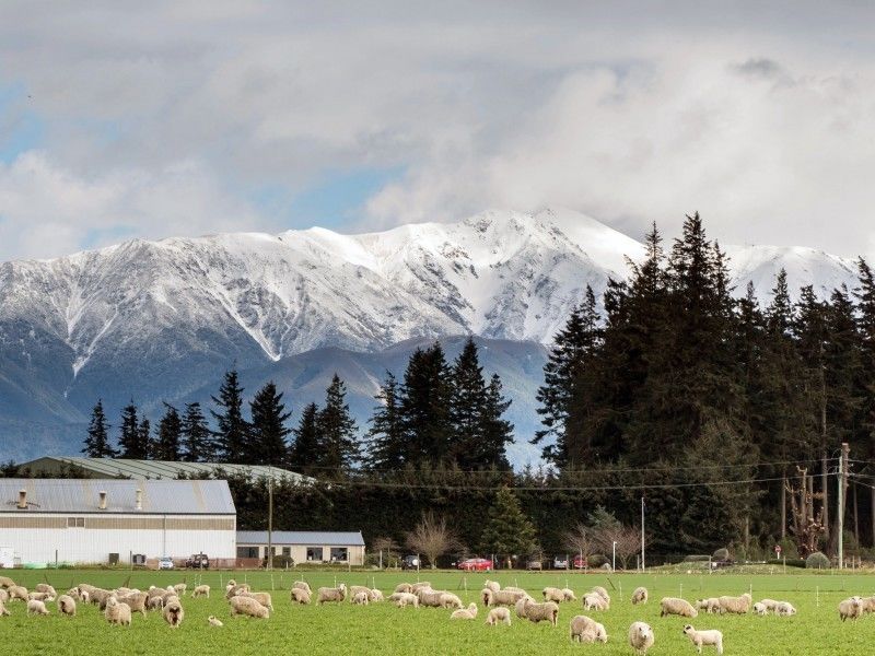 Methven Chertsey Road, Lauriston, Ashburton, 0房, 1浴