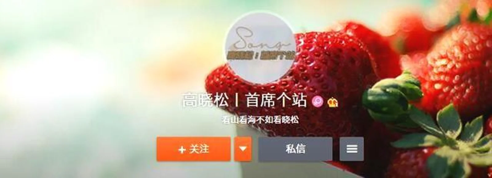 还是矮大紧吗?高晓松个站成立 应援图P到不敢认