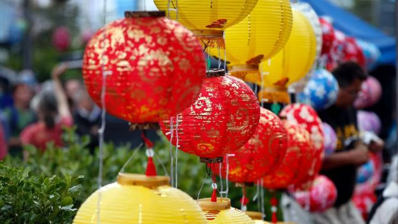 新西兰“中文周”正式开幕，企业号召全民学中文：这是对未来最好的投资！