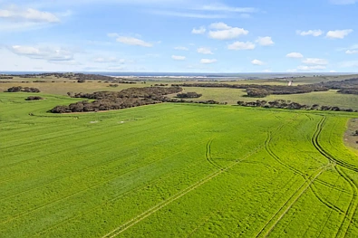 8765 Flinders Highway, Mount Hope, SA 5607, 0 Bedrooms, 0 Bathrooms, Lifestyle Property
