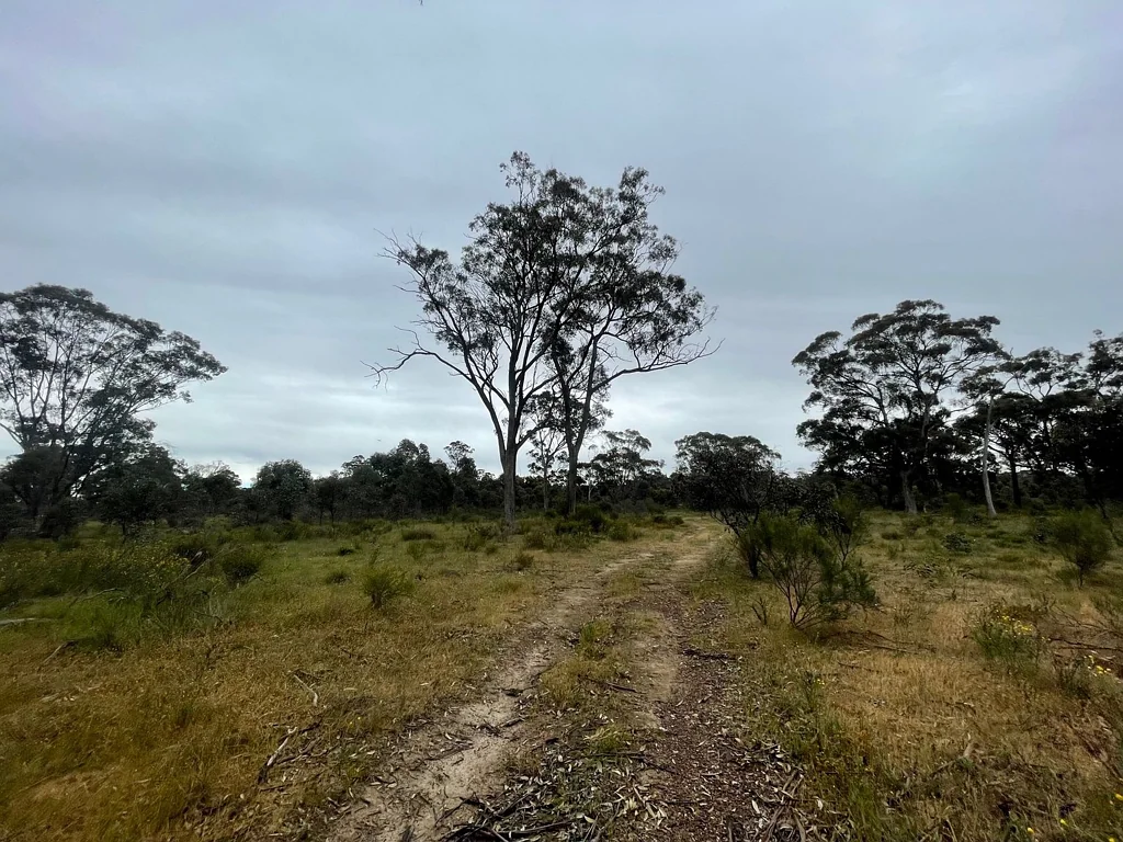 Walmer 755 Bendigo-Maldon Road Walmer