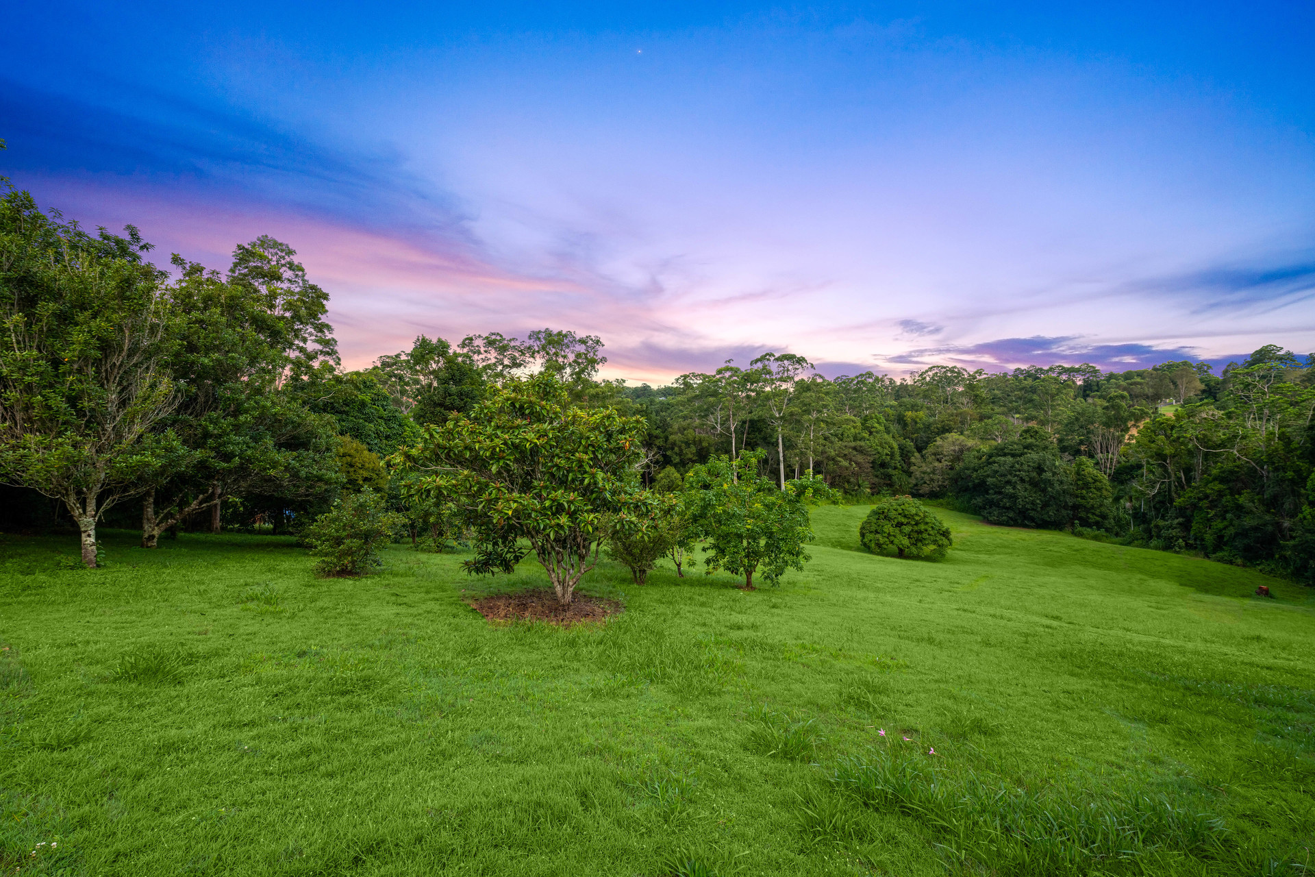 5 LAIDLAW RD NORTH, COES CREEK QLD 4560, 0 રૂમ, 0 બાથરૂમ, House