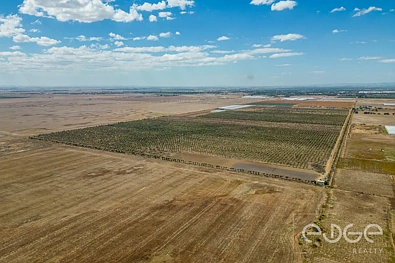 Lot 9 Brownes Road, Middle Beach, SA 5501, 0 slaapkamers, 0 badkamers, Section