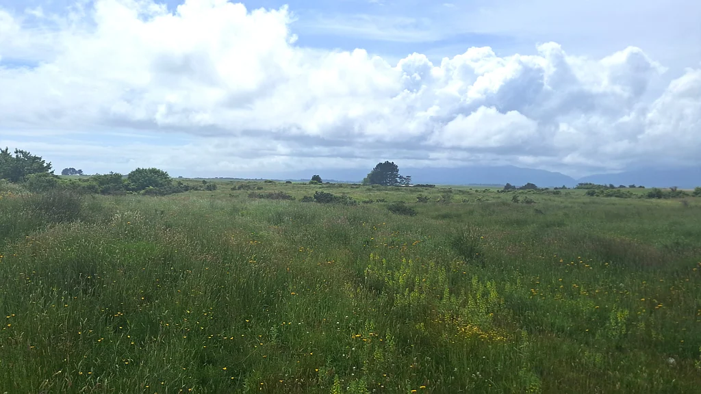 Cape Foulwind Dairy/Dry Stock Support Block
