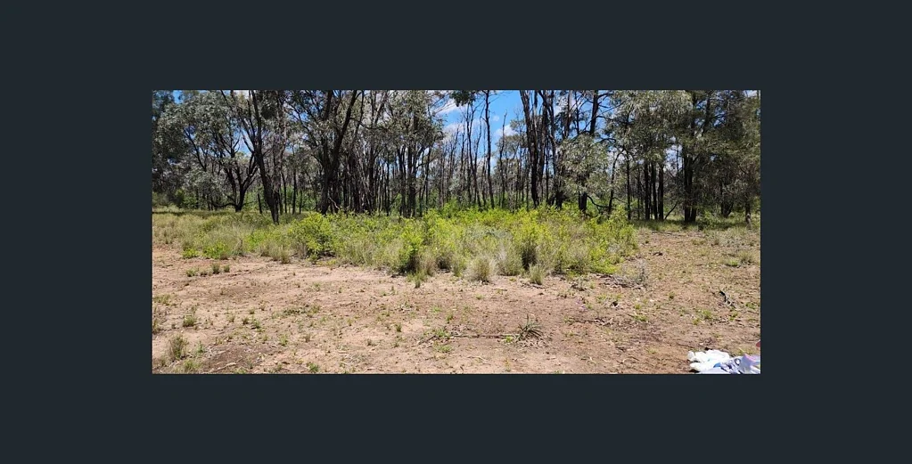 265 Kytes Road, Tara, QLD 4421