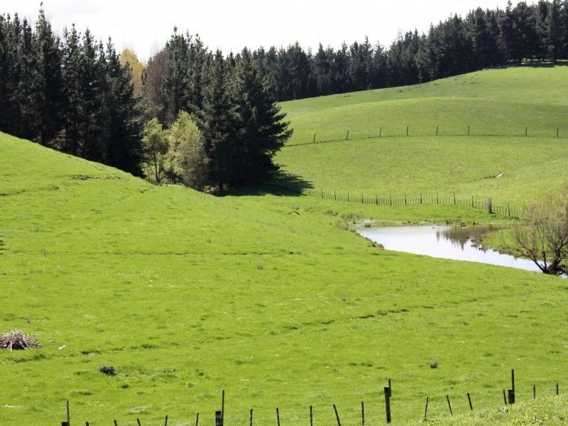 35 Pourerere Road, Waipawa, Hawkes Bay, 0 rūma, 0 rūma horoi