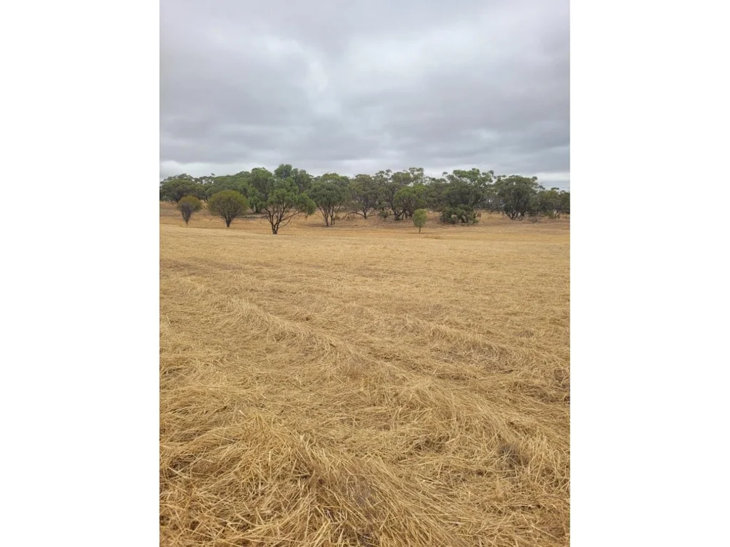 130 Charlton Boulevard, Coondle, Toodyay, WA 6566