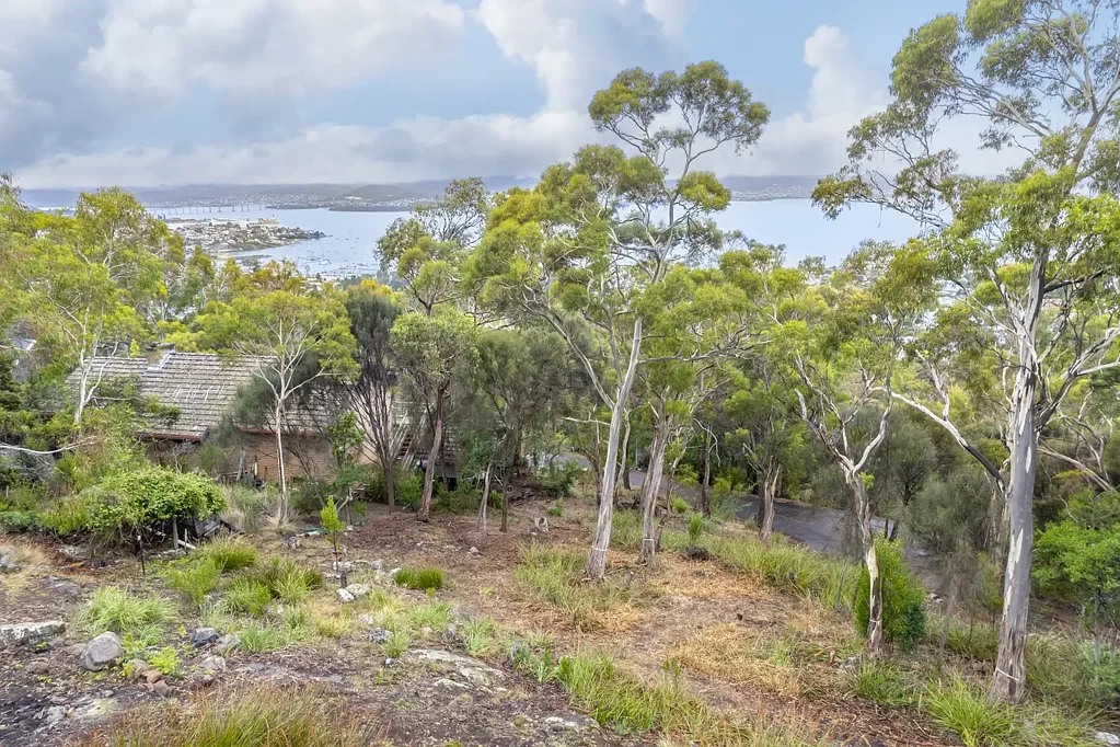 Mount Nelson  The dream inner city living on a bush setting