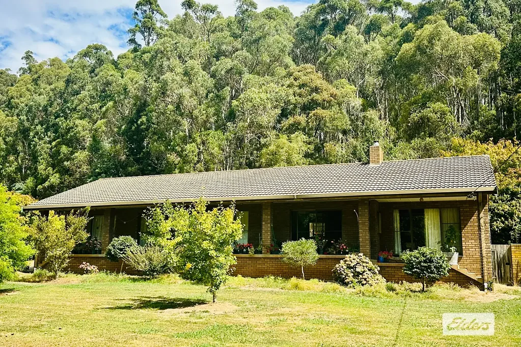 346 Wilmot Road, Forth, TAS 7310