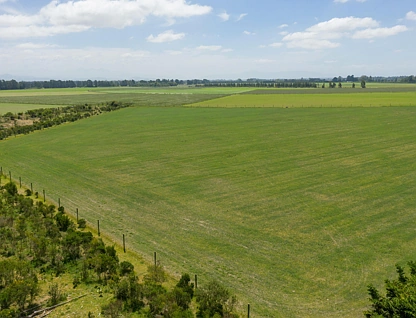 Gillanders Road, Darfield, Selwyn, 0 ਕਮਰੇ, 0 ਬਾਥਰੂਮ, Lifestyle Section