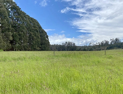 5464 Bass Highway, Elizabeth Town, Launceston and North East, 0 rūma, 0 rūma horoi, Lifestyle Property