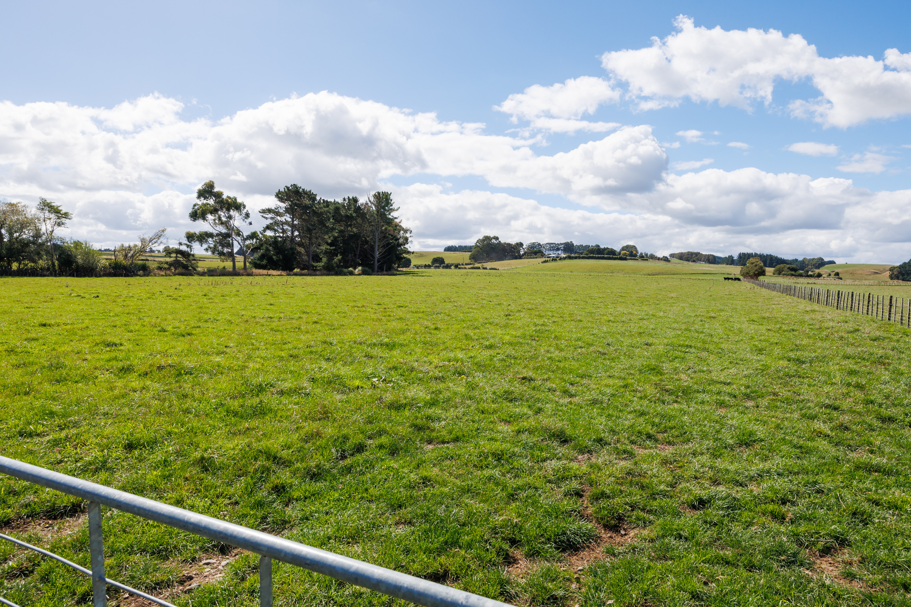 44 Levett Line, Beaconsfield, Manawatu, 0房, 0浴, Lifestyle Property