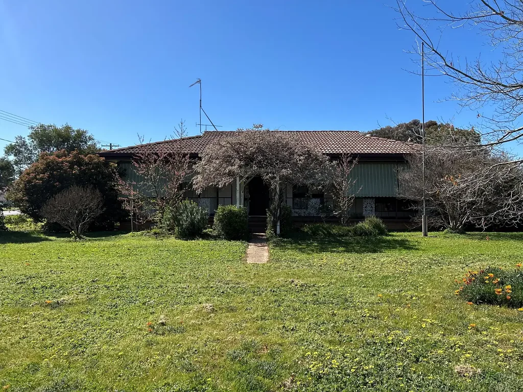 Value Galore in Lockhart!