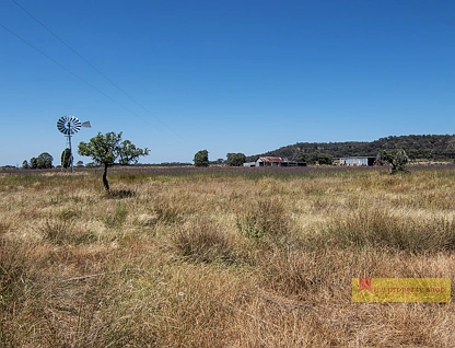 1/1921 Barneys Reef Road, Gulgong, North West, 0 Schlafzimmer, 0 Badezimmer, Lifestyle Property