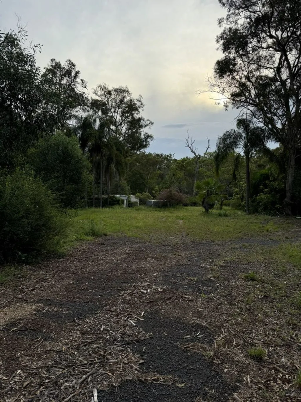 49-51 Daintree Drive, Logan Village, QLD 4207