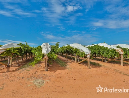 83a Belar Avenue Extension, Irymple, Vic Country , 0 રૂમ, 0 બાથરૂમ, Lifestyle Property