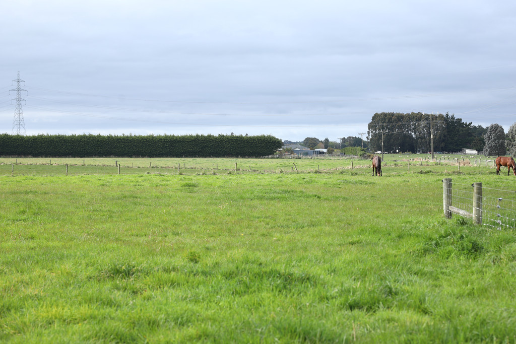 263 Findlay Road, Ascot, Invercargill, 4 Bedrooms, 0 Bathrooms