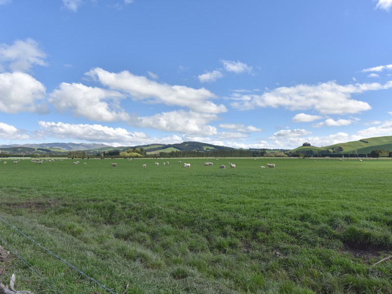 Bentleys Road, Hawarden, Hurunui, 0 Kuwarto, 1 Banyo