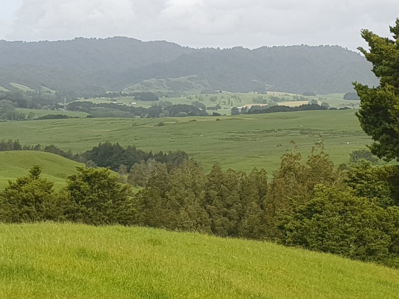 Central Road, Otamatea Surrounds, Kaipara, 0 habitaciones, 0 baños