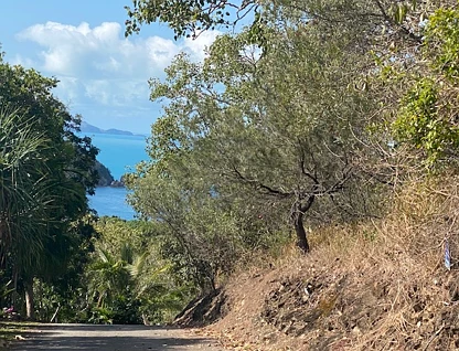 Lot CV Awesome Blue, Keswick Island, Mackay, Mackay, 0 habitaciones, 0 baños, Section